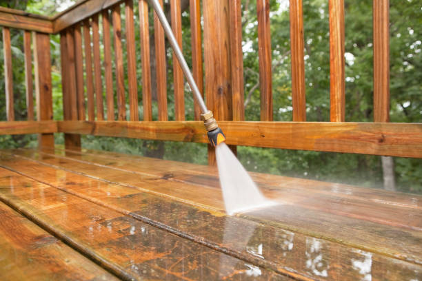 Best Roof Pressure Washing  in Placitas, NM