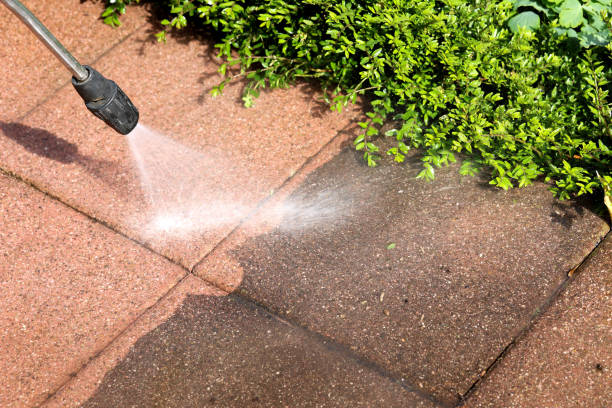 Best Sidewalk Pressure Washing  in Placitas, NM